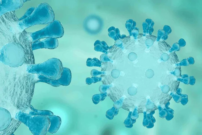 Navigating the Waves: Swine Flu in the UK - A Comprehensive Analysis
